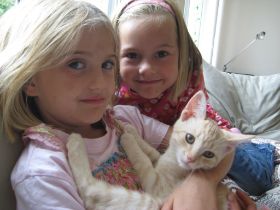 IMG_3275.JPG
